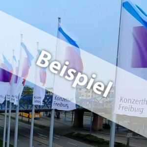 Konzerthaus Freiburg - Videos